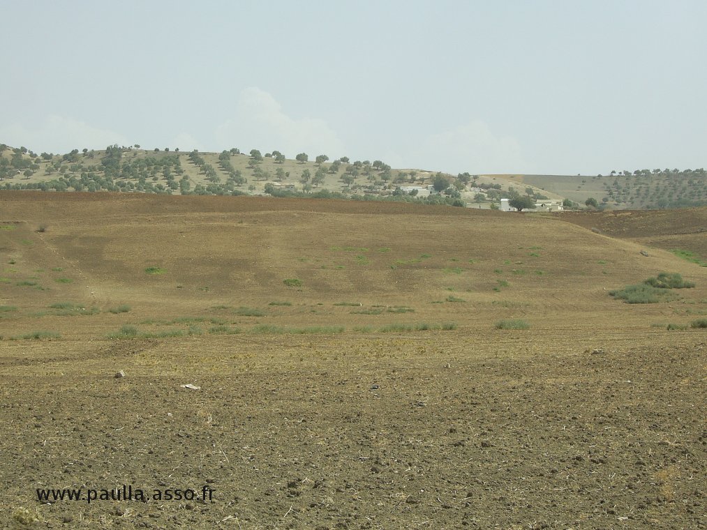 Maroc 007